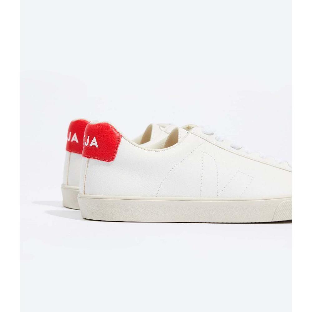 Veja ESPLAR CHROMEFREE Men's Shoes White/Orange | CA 195MQZ